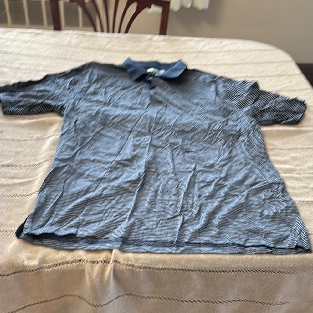 Blue Striped Polo Shirt